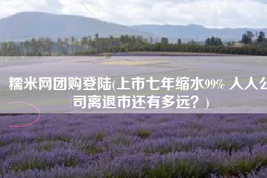 糯米网团购登陆(上市七年缩水99% 人人公司离退市还有多远？)