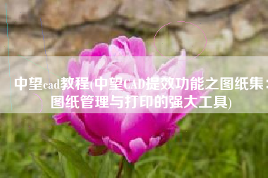 中望cad教程(中望CAD提效功能之图纸集：图纸管理与打印的强大工具)