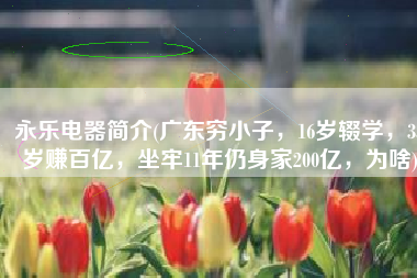 永乐电器简介(广东穷小子，16岁辍学，35岁赚百亿，坐牢11年仍身家200亿，为啥)