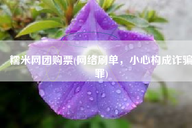 糯米网团购票(网络刷单，小心构成诈骗罪)