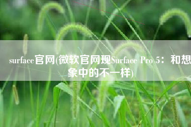 surface官网(微软官网现Surface Pro 5：和想象中的不一样)