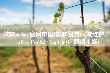 微软surface官网中国(微软官方商城维护，Surface Pro X2 / Laptop Go 即将上线)