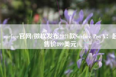 surface官网(微软发布2021款Surface Pro X：起售价899美元)