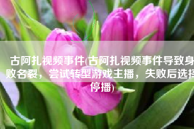 古阿扎视频事件(古阿扎视频事件导致身败名裂，尝试转型游戏主播，失败后选择停播)