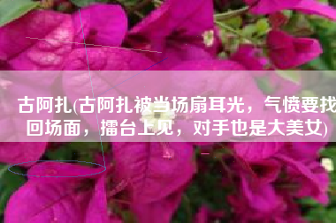 古阿扎(古阿扎被当场扇耳光，气愤要找回场面，擂台上见，对手也是大美女)