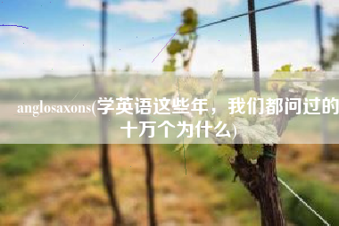 anglosaxons(学英语这些年，我们都问过的十万个为什么)