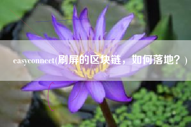 easyconnect(刷屏的区块链，如何落地？)