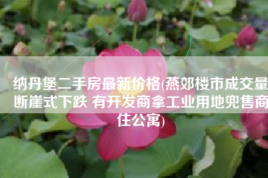 纳丹堡二手房最新价格(燕郊楼市成交量断崖式下跌 有开发商拿工业用地兜售商住公寓)