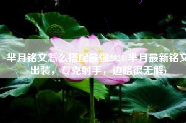 芈月铭文怎么搭配最强2021(芈月最新铭文出装，专克射手，边路很无解)