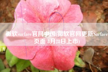微软surface官网中国(微软官网更新Surface页面 8月28日上市)