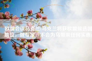 欧盟会议乌克兰(乌克兰将获欧盟候选国地位，俄专家：不会为乌带来任何实惠)