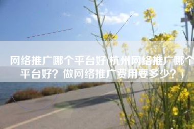 网络推广哪个平台好(杭州网络推广哪个平台好？做网络推广费用要多少？)