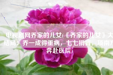 电视剧网乔家的儿女(《乔家的儿女》大结局：乔一成得重病，七七捐肾，项南方奔赴医院)