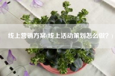 线上营销方案(线上活动策划怎么做？)