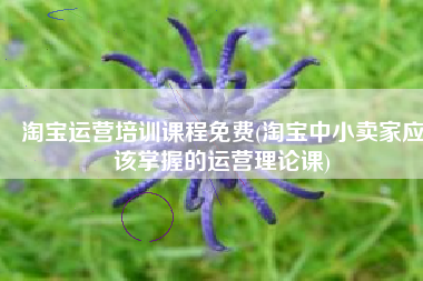 淘宝运营培训课程免费(淘宝中小卖家应该掌握的运营理论课)
