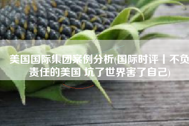 美国国际集团案例分析(国际时评丨不负责任的美国 坑了世界害了自己)