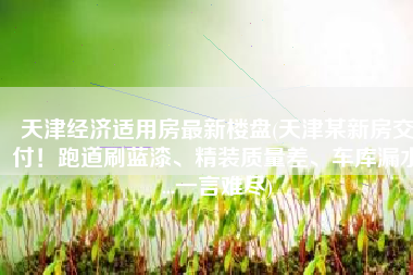 天津经济适用房最新楼盘(天津某新房交付！跑道刷蓝漆、精装质量差、车库漏水...一言难尽)