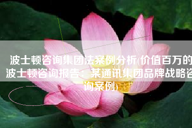 波士顿咨询集团法案例分析(价值百万的波士顿咨询报告：某通讯集团品牌战略咨询案例)