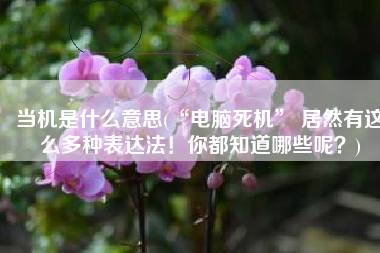 当机是什么意思(“电脑死机” 居然有这么多种表达法！你都知道哪些呢？)