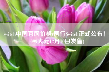 switch中国官网价格(国行Switch正式公布！2099大元12月10日发售)