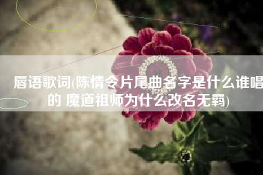 唇语歌词(陈情令片尾曲名字是什么谁唱的 魔道祖师为什么改名无羁)