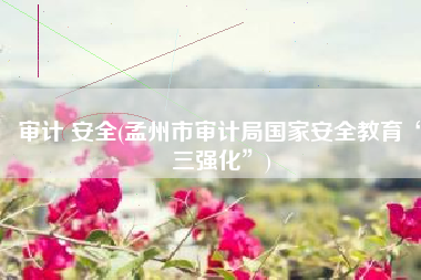 审计 安全(孟州市审计局国家安全教育“三强化”)