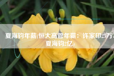 夏海钧年薪(恒大高管年薪：许家印25万、夏海钧2亿)