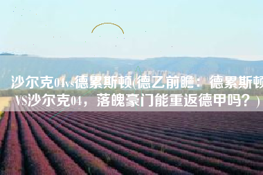 沙尔克04vs德累斯顿(德乙前瞻：德累斯顿VS沙尔克04，落魄豪门能重返德甲吗？)