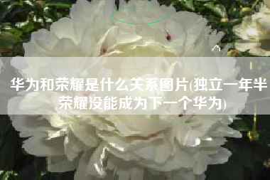 华为和荣耀是什么关系图片(独立一年半，荣耀没能成为下一个华为)