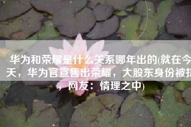 华为和荣耀是什么关系哪年出的(就在今天，华为官宣售出荣耀，大股东身份被扒，网友：情理之中)
