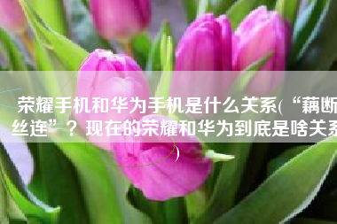荣耀手机和华为手机是什么关系(“藕断丝连”？现在的荣耀和华为到底是啥关系)