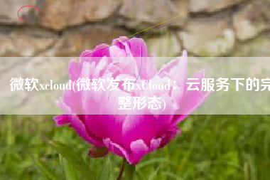 微软xcloud(微软发布xCloud：云服务下的完整形态)