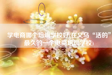 学电商哪个培训学校好(在义乌“活的”最久的一个电商培训学校)