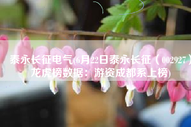 泰永长征电气(6月22日泰永长征（002927）龙虎榜数据：游资成都系上榜)