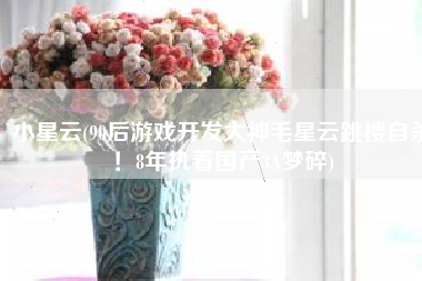 小星云(90后游戏开发大神毛星云跳楼自杀！8年执着国产3A梦碎)