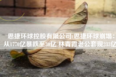 思捷环球控股有限公司(思捷环球崩塌：从1770亿暴跌至30亿 林青霞老公套现233亿)