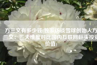 方三文有多少钱(独家访谈雪球创始人方三文：三大维度对比国内互联网巨头投资价值)