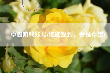 卓越游戏账号(谁能想到，会是卓越)