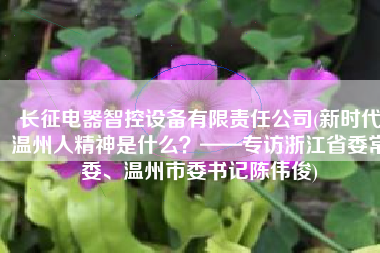长征电器智控设备有限责任公司(新时代温州人精神是什么？——专访浙江省委常委、温州市委书记陈伟俊)