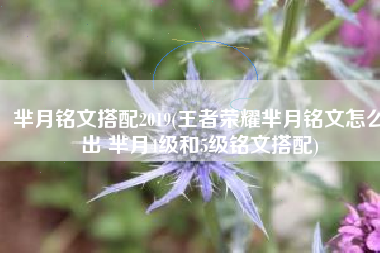 芈月铭文搭配2019(王者荣耀芈月铭文怎么出 芈月4级和5级铭文搭配)
