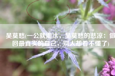 吴莫愁(一公就淘汰，吴莫愁的悲凉：做回最真实的自己，别人却看不懂了)