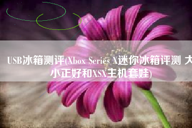 USB冰箱测评(Xbox Series X迷你冰箱评测 大小正好和XSX主机套娃)