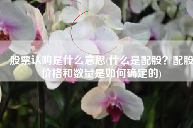股票认购是什么意思(什么是配股？配股价格和数量是如何确定的)