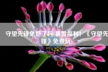 守望先锋免费了吗(暴雪福利！《守望先锋》免费玩)