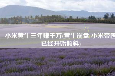 小米黄牛三年赚千万(黄牛崩盘 小米帝国已经开始倾斜)