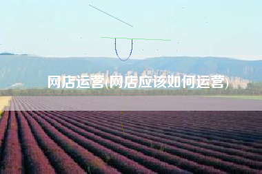 网店运营(网店应该如何运营)