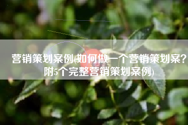 营销策划案例(如何做一个营销策划案？附5个完整营销策划案例)