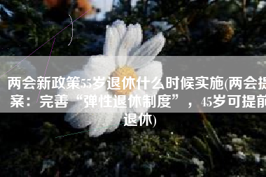 两会新政策55岁退休什么时候实施(两会提案：完善“弹性退休制度”，45岁可提前退休)