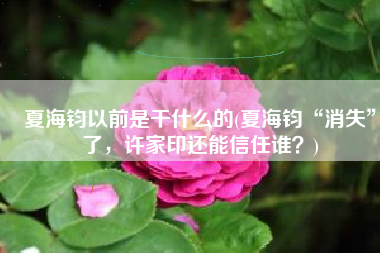 夏海钧以前是干什么的(夏海钧“消失”了，许家印还能信任谁？)