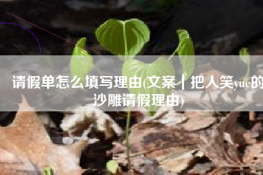 请假单怎么填写理由(文案｜把人笑yue的沙雕请假理由)